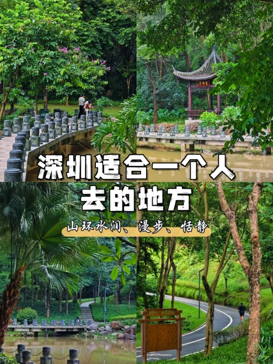 深圳适合一个人去的地方（42/100）