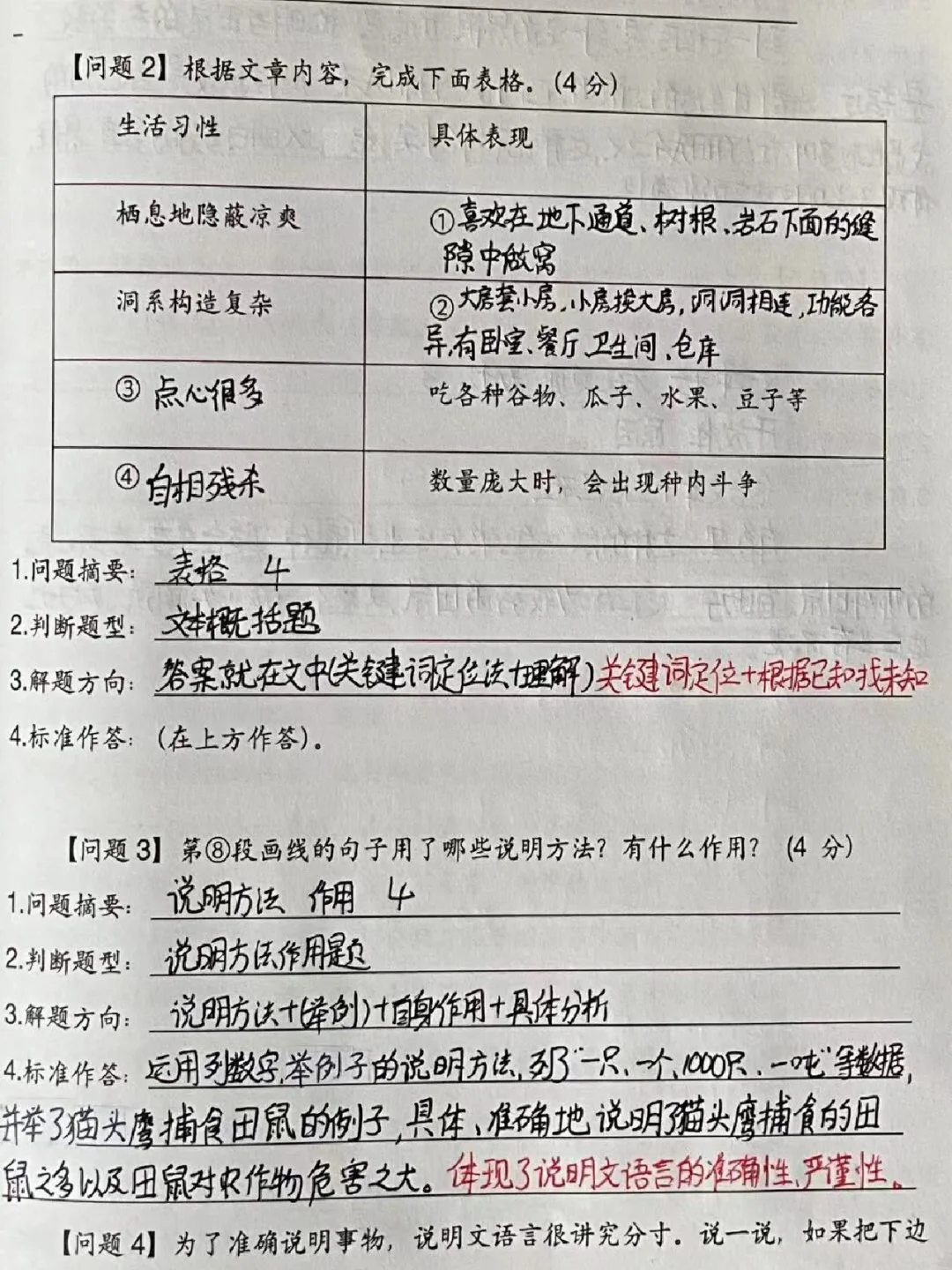 初一阅读理解，起步就是冲刺‼️