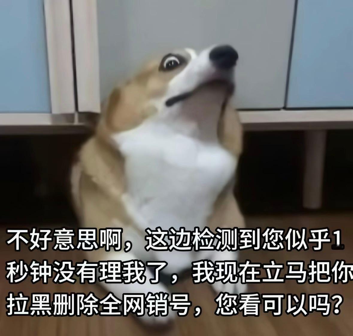 分享图片 ​​​