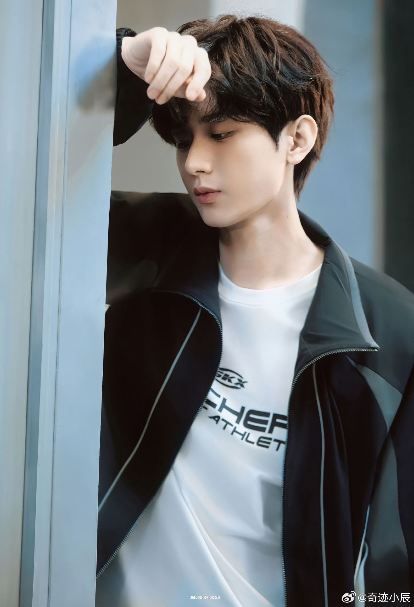 在成毅的汤圆里发现了华点成毅汤圆华点太好嗑！7个在碗1个在勺，暗戳戳藏“71淇毅