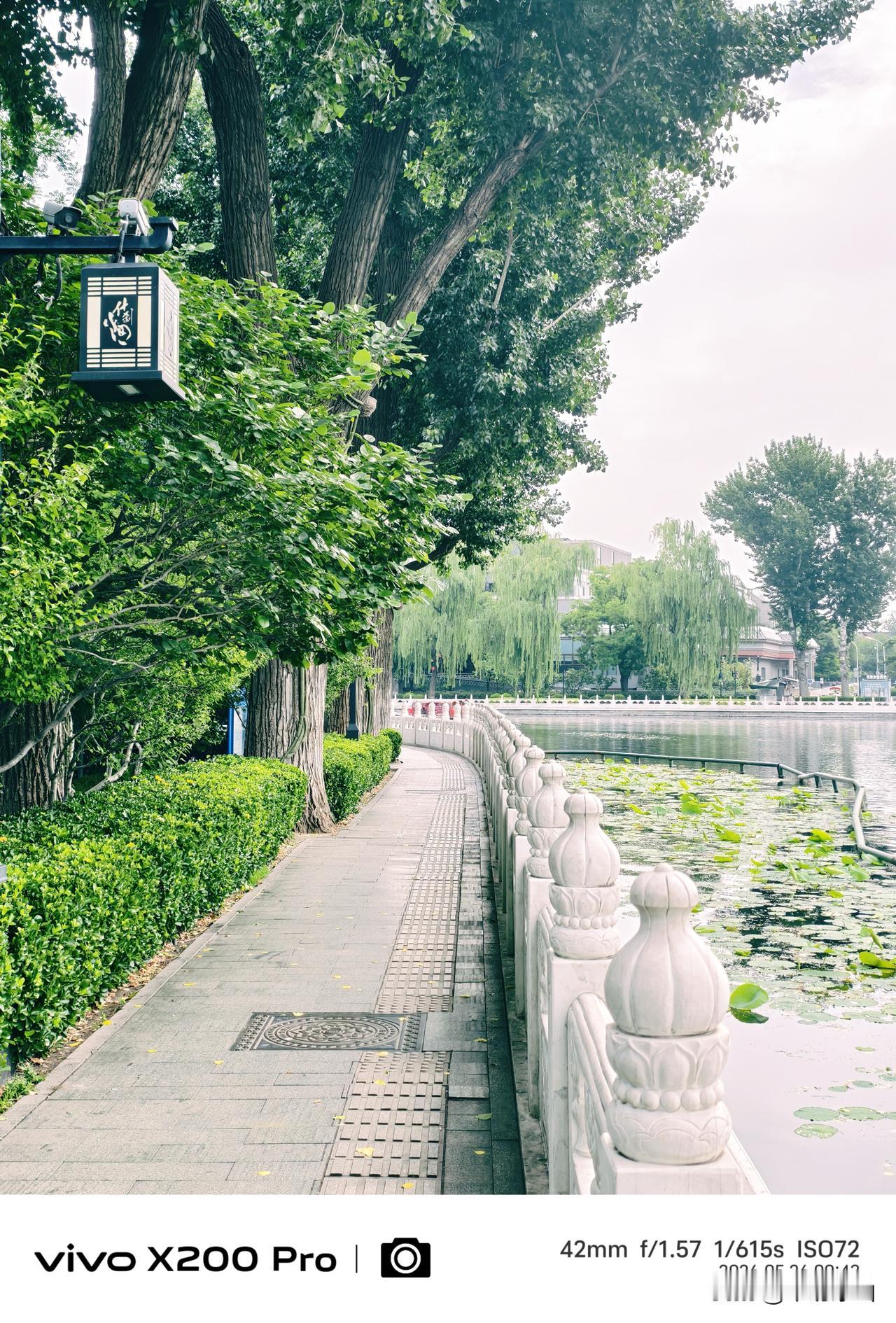 进入五月末的北京，绿意盎然迷人的什刹海风光，随手一拍，美轮美奂。北京初夏随手拍 