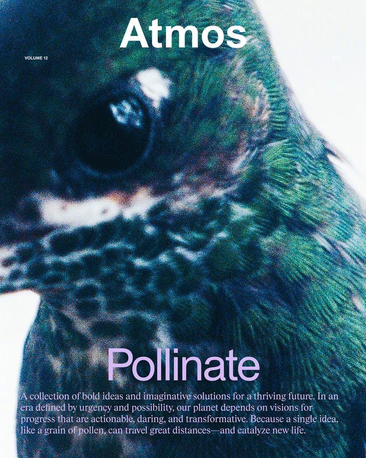 Atmos Magazine 🦜💐  一组美丽的蜂鸟拍摄，定格动态飞翔瞬间。