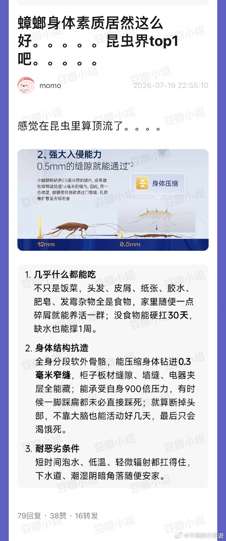 要不然怎么会叫打不死的小强