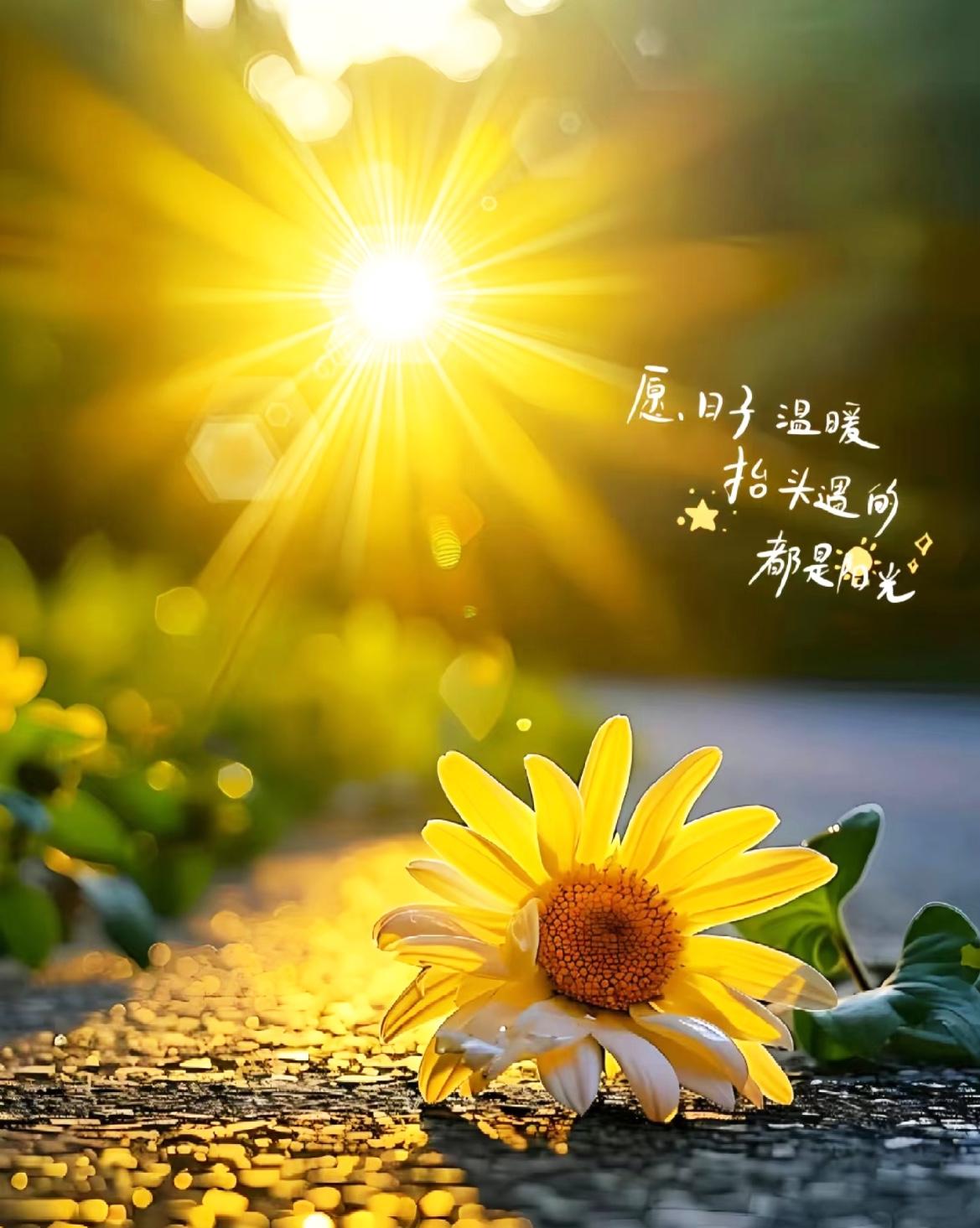 在你的老家，“明天”用方言怎么说最简单了，就叫目日。这样叫的集合了！