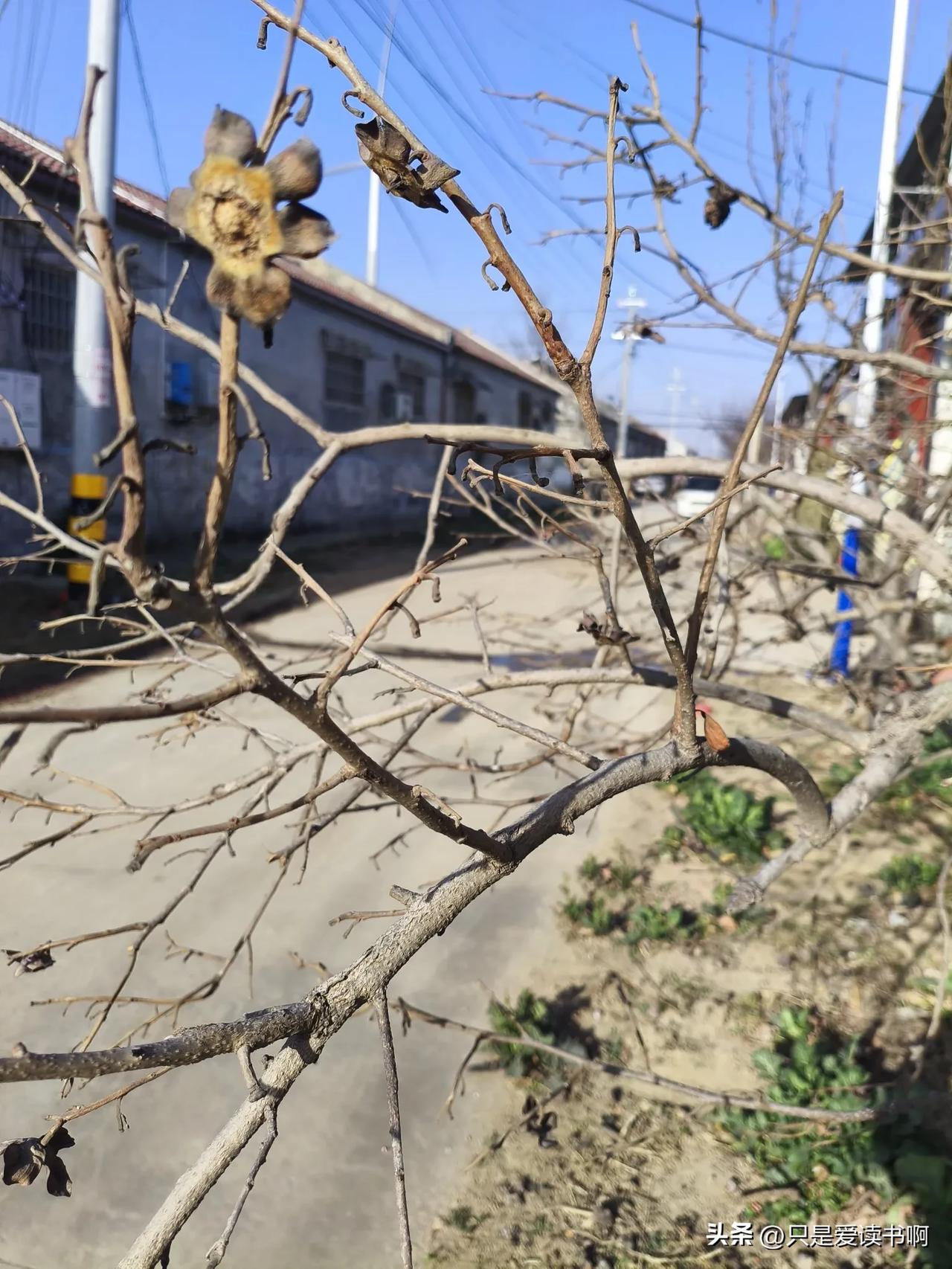 命运的事情，很难说清楚。
有一个亲戚家的小孩，他父母小时候去算命，算命的看看他八