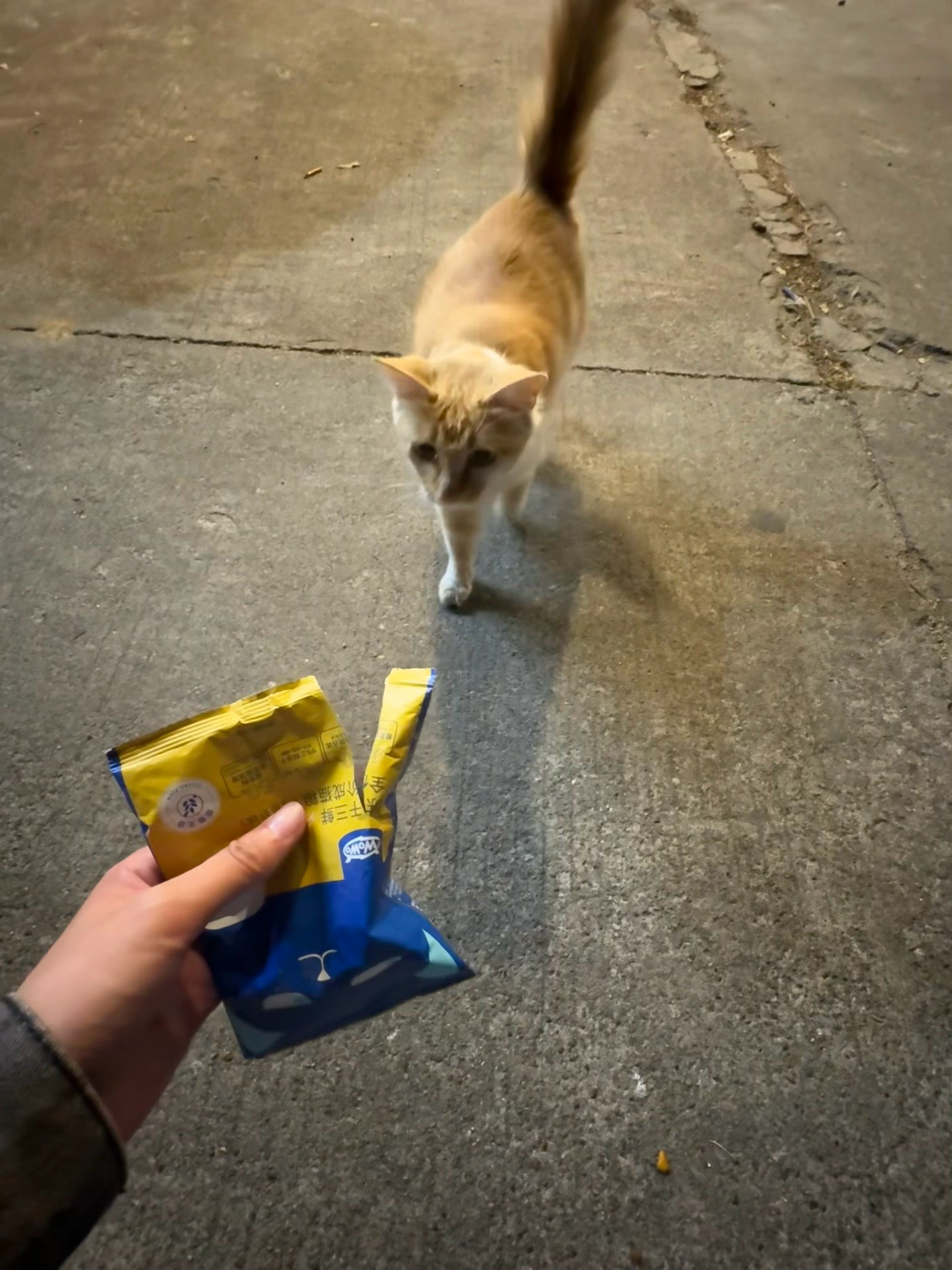 陌生的咪 新的一年 别忘了要好好吃饭🫰🏻 佛山·佛山奥园誉峯