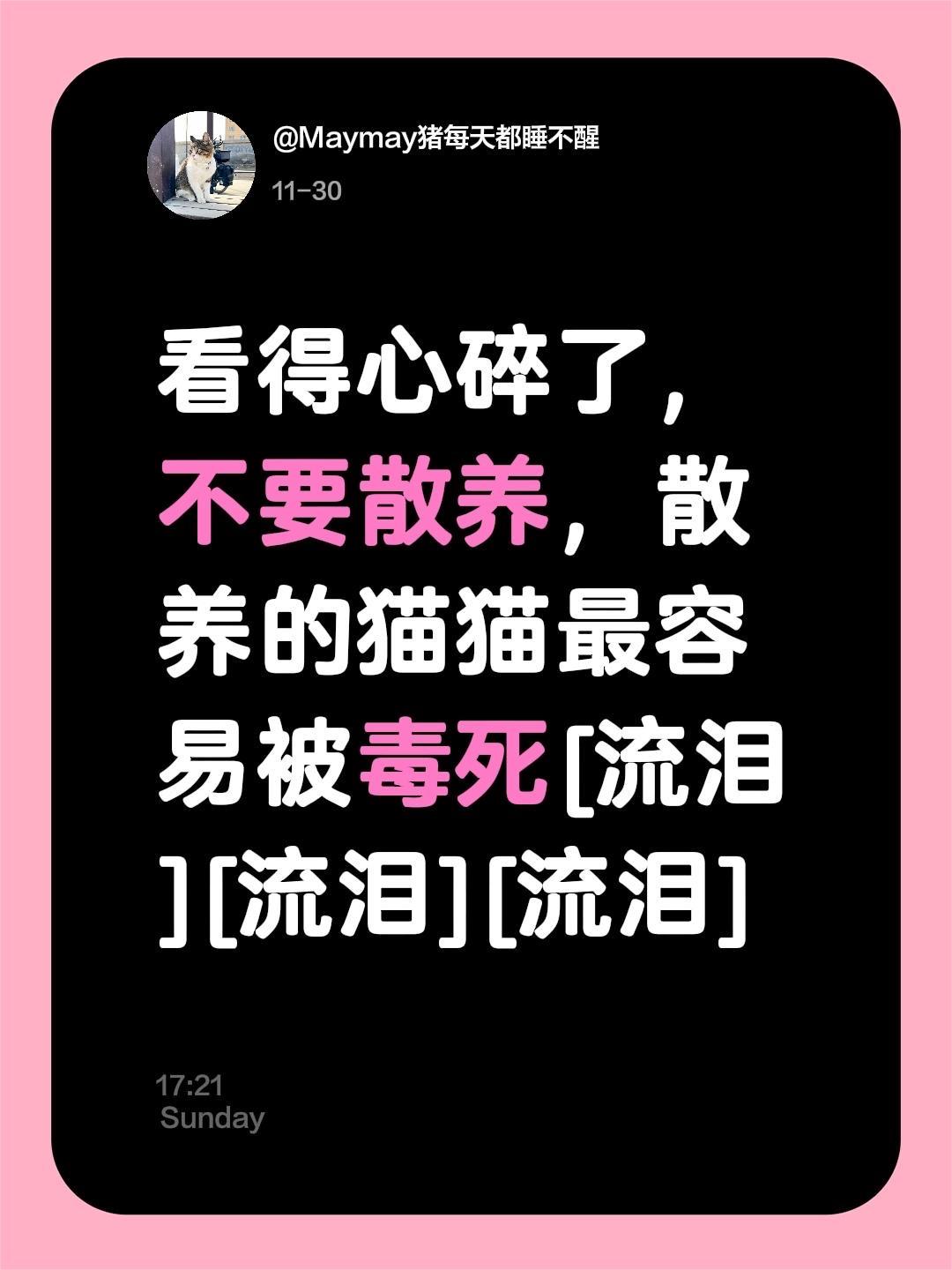 我评论了 的作品： 不要散养，散养的猫猫多数都是被毒死或者被车撞死，相...