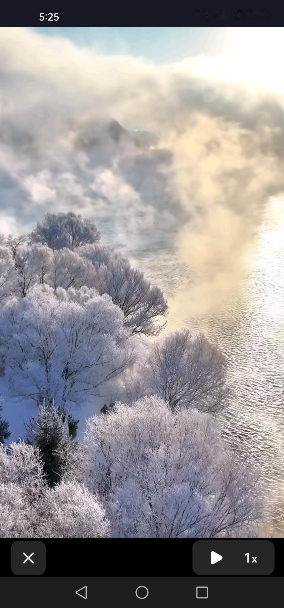 1月19号，坐标吉林市，今天可真特么冷啊！室外根本没法久站！

今天的吉林市冷得
