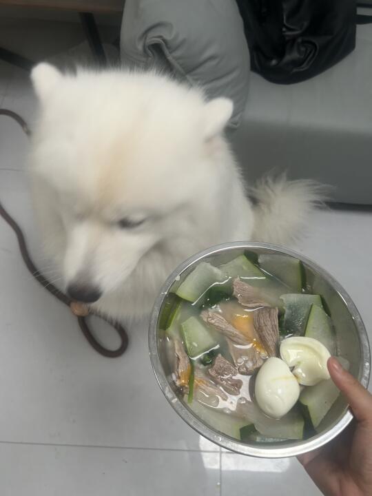 拿走 我不爱吃