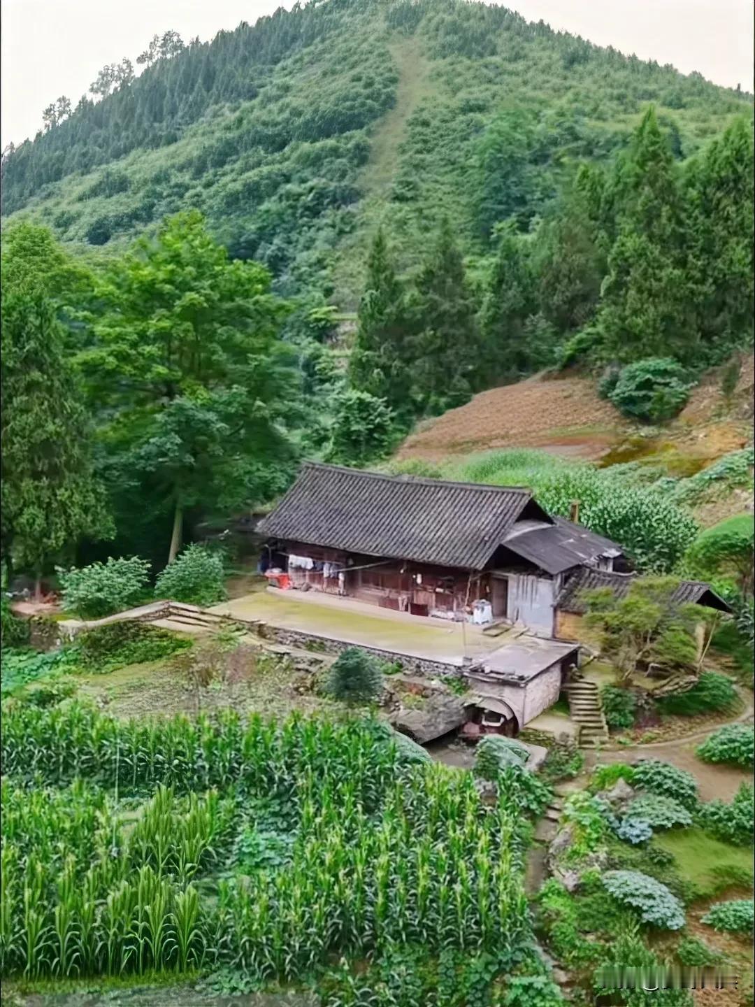 深山里发现一户人家，独居山林几十年，房屋建在半腰上，享受着纯天然原生态美景，一家