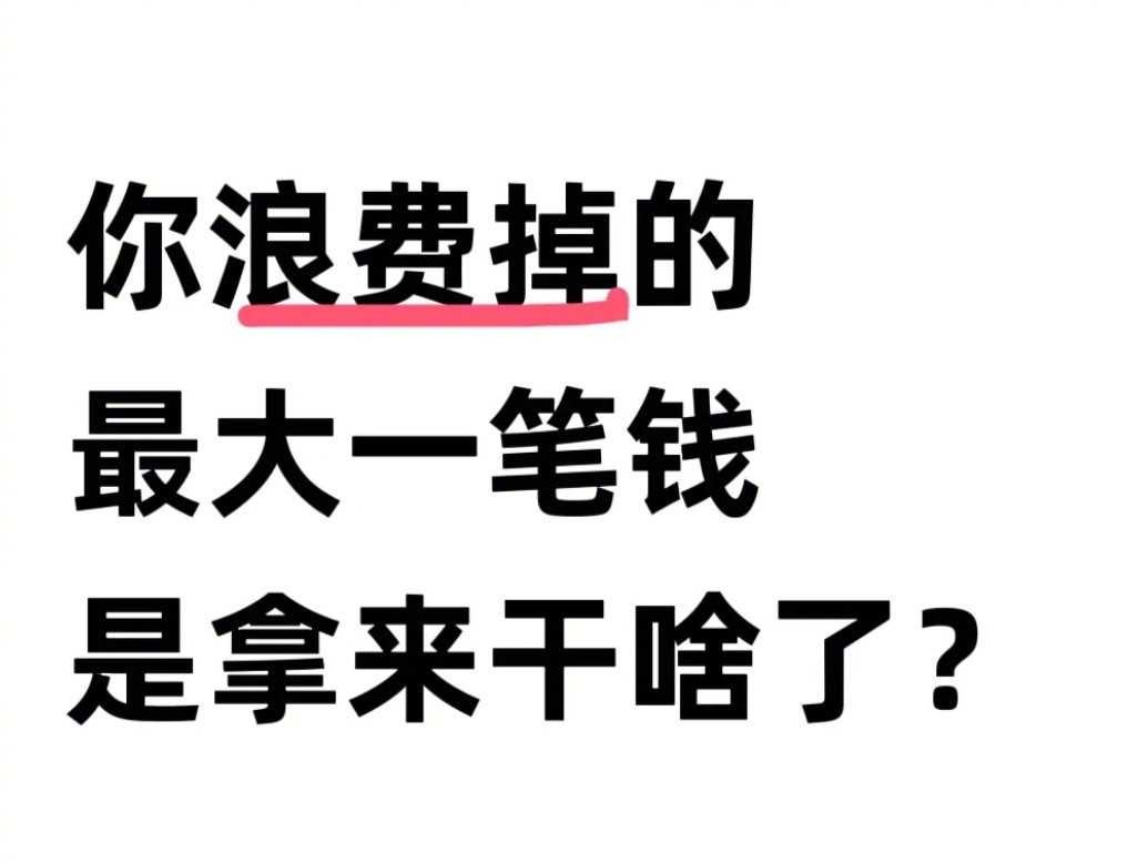 说说你浪费掉的最大一笔钱是拿来干啥了？ ​​​