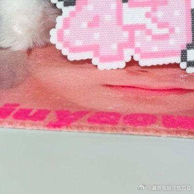 0000‎种植青提种植青提是一种非常好吃的水果，口感比一般品种的葡萄要好吃很多，