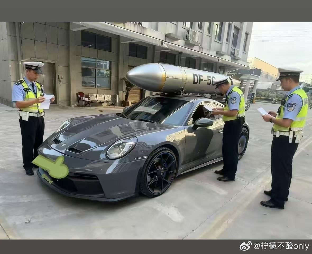 哥们儿太猛了，看别的网图都是顶着一个毛绒玩具，你直接顶个仿真，乍一看，有点吓人！