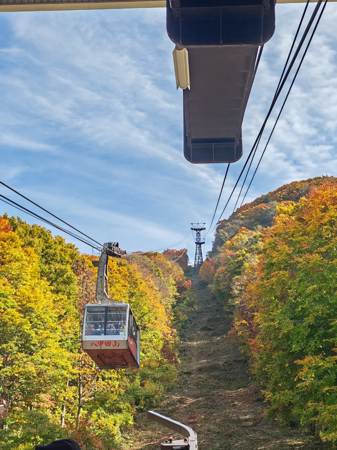 青森红叶🍁10.25八甲田奥入濑
