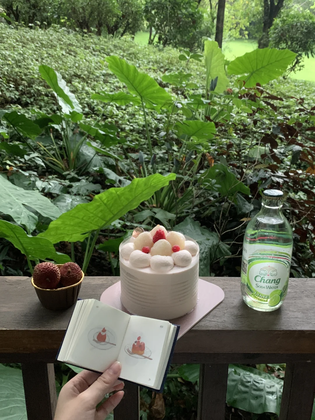 老派约会 | 雨季公园真的是i人的充电站…🥹