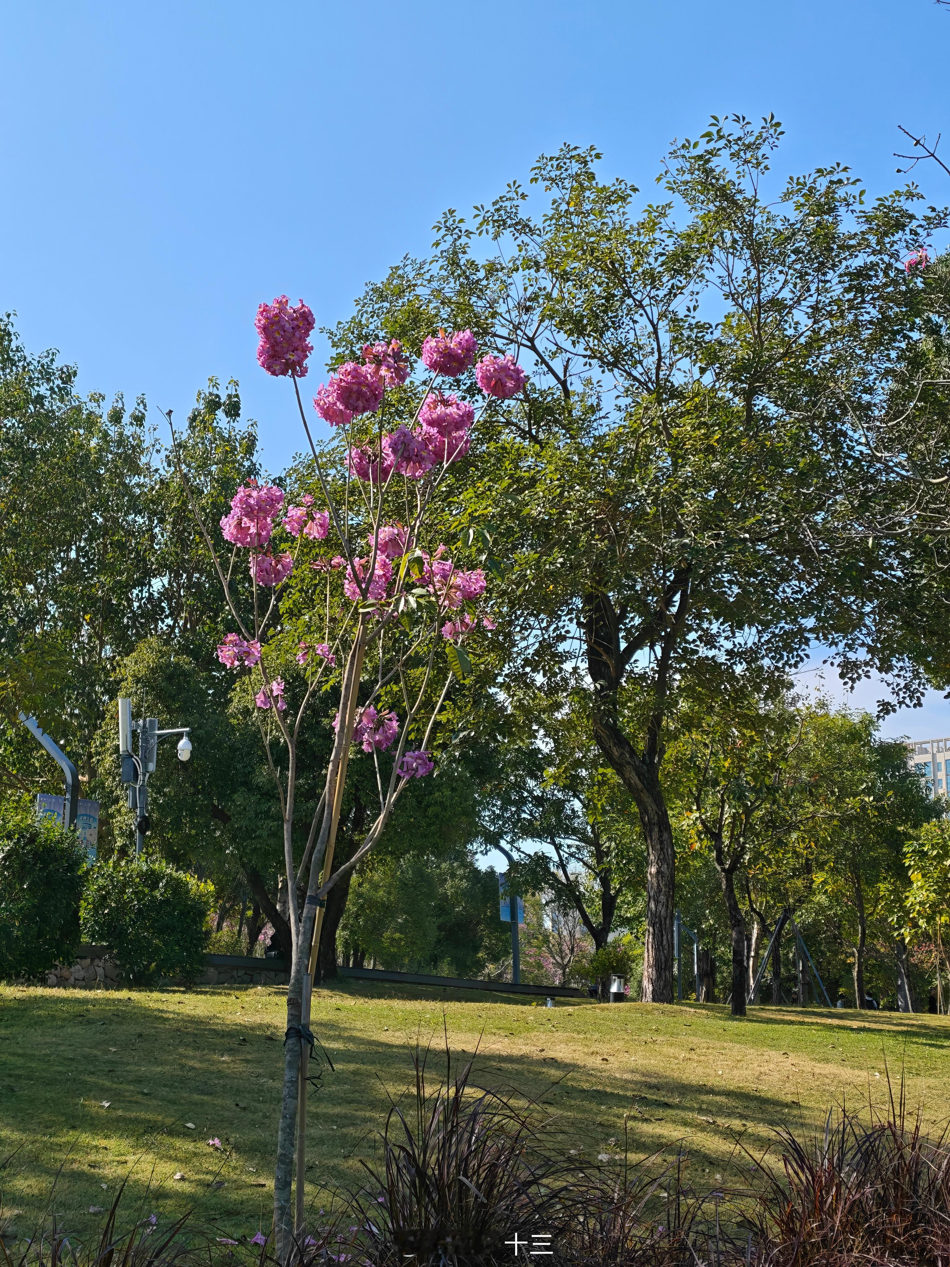考研数学学习跟吃东西一样虽然早晚会拉出去，但这个过程却滋养了我们，助我们成长丰满
