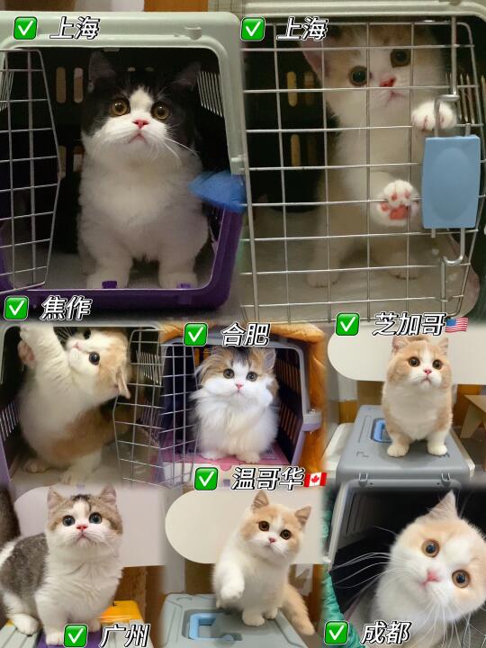 记录📝去新家系列