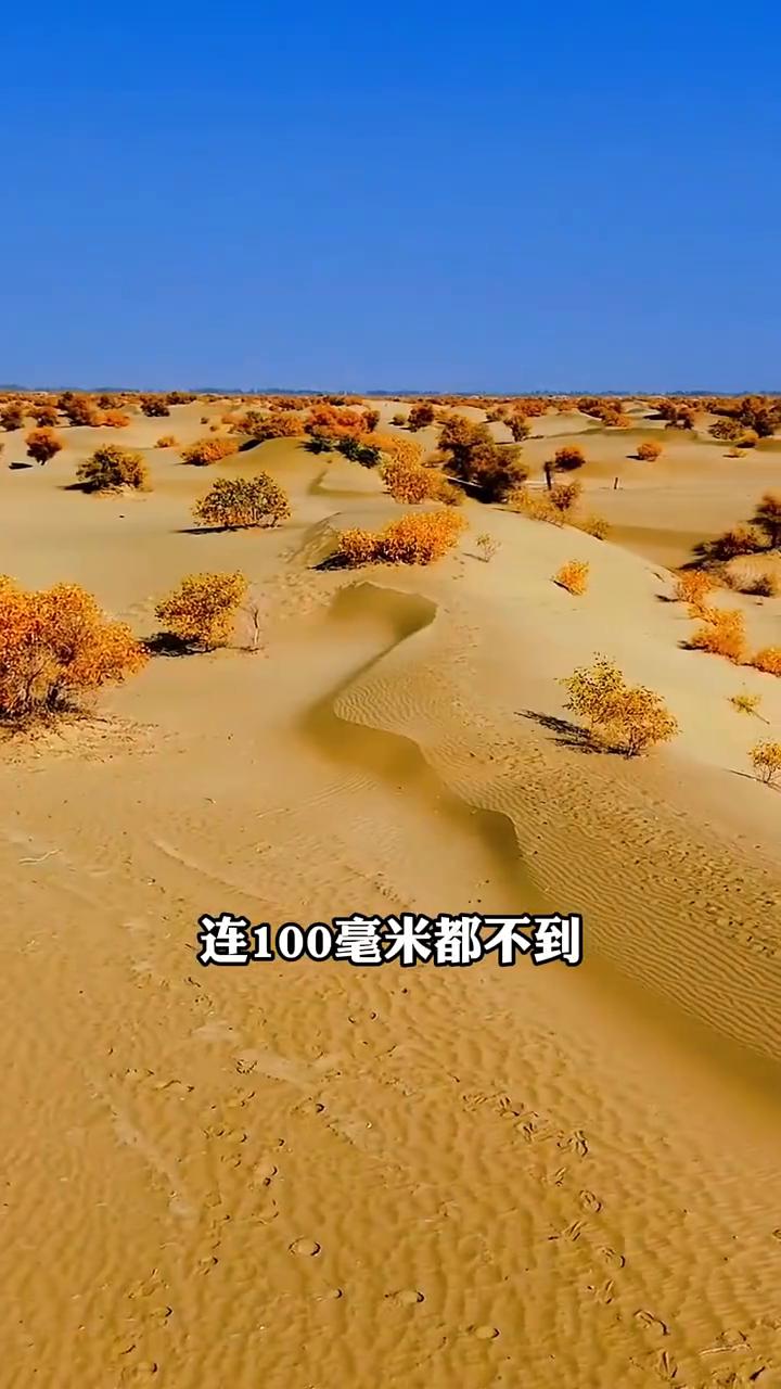 塔克拉玛干沙漠竟然发洪水了。
美国专家盯着卫星图像研究了3天3夜，始终不敢相信自