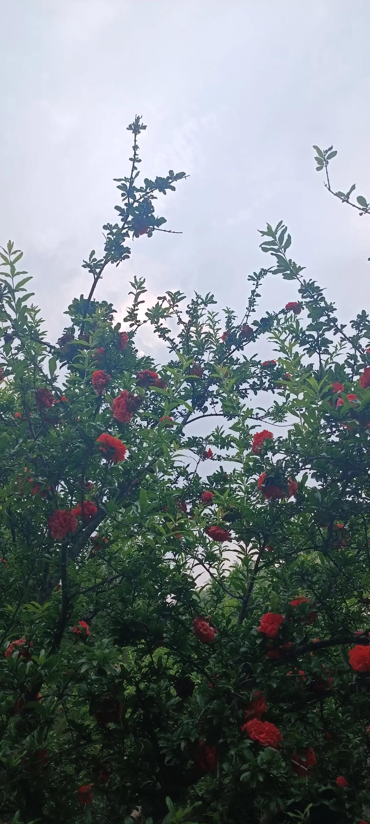 我看到资料上说，有三位饰演宋美龄的演员，有的说，“肯定宋美龄的事业”，有的说，宋