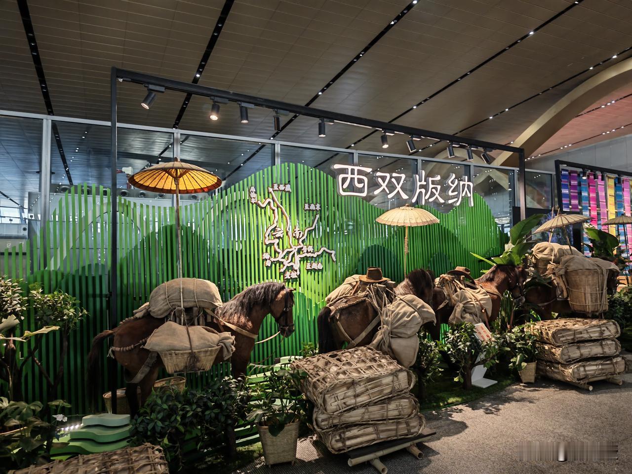 来到了云南
我最喜欢的省份之一
有什么需要注意的？