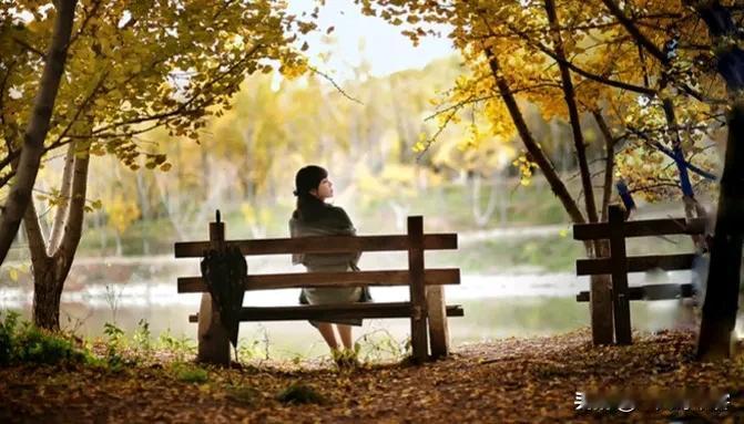 七律|秋兴八首之（一）
四时轮转独怜秋，万物凋伤敛未休。
草木初衰增艳色，溪流虽