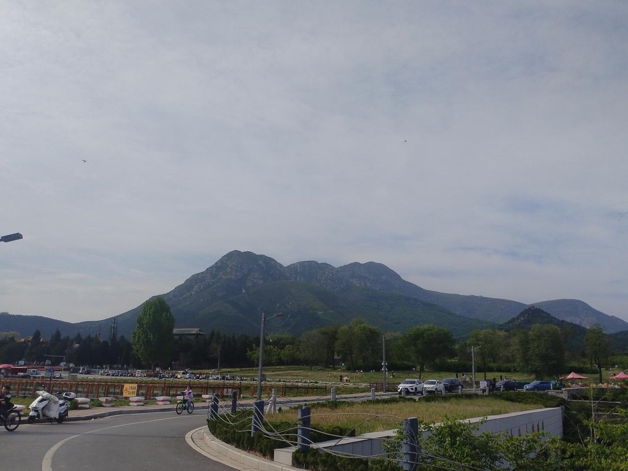 春日生活打卡季