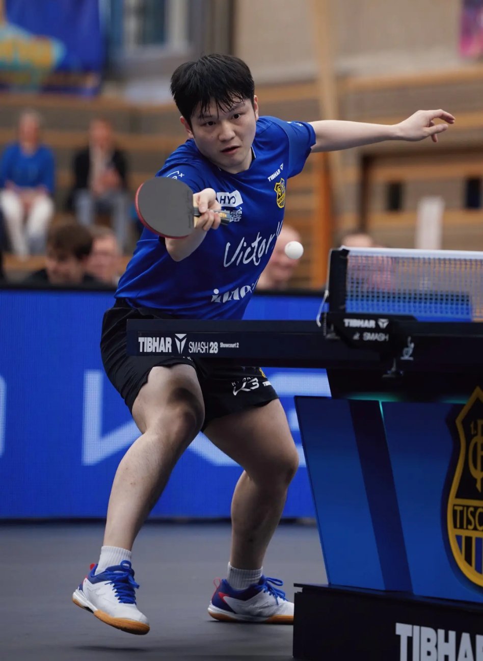  樊振东加油！沉稳果敢，坚韧不拔。以实力回应期待，以拼搏书写辉煌。马年驰骋赛场，