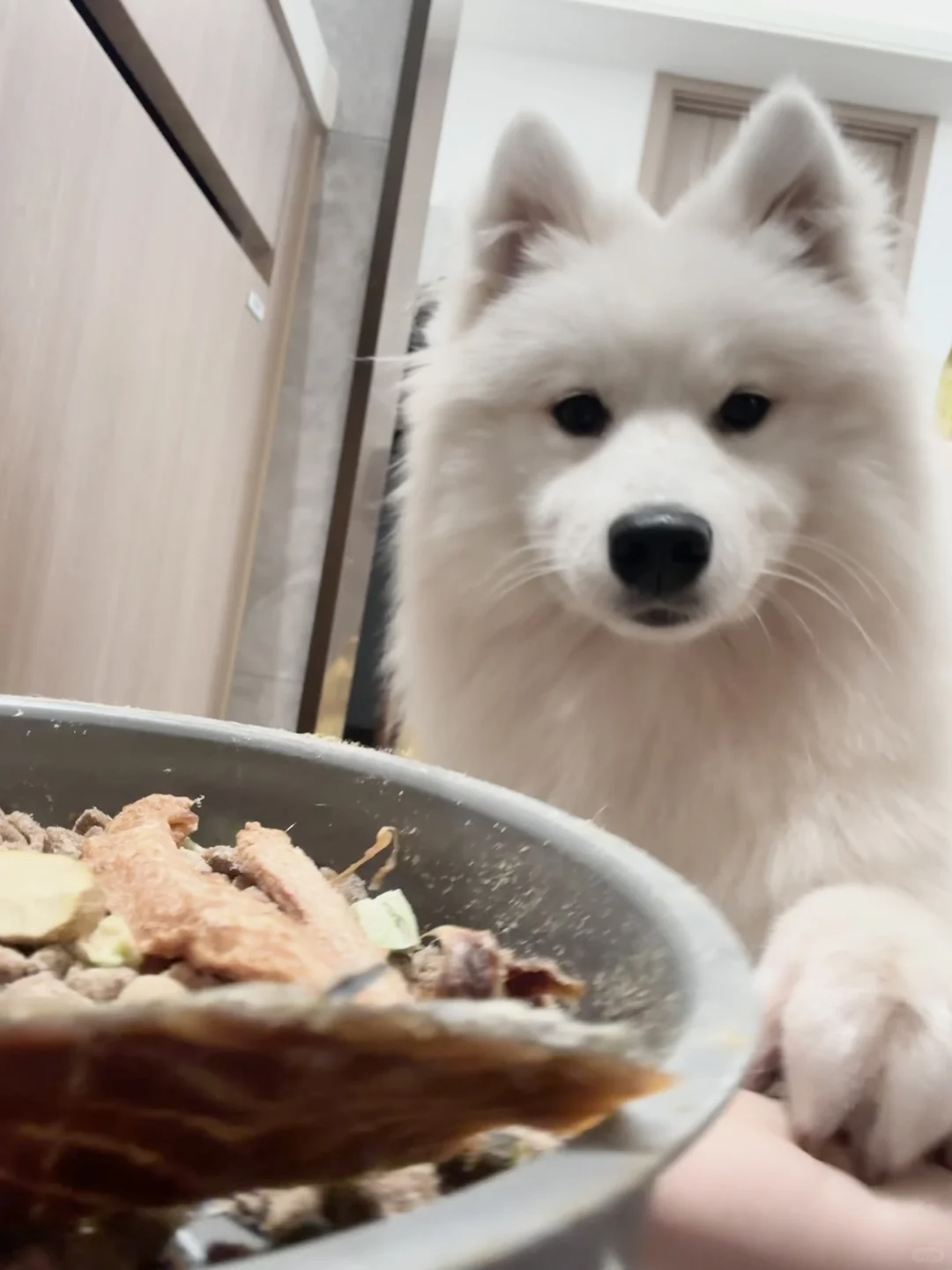 🌰栗子味的厨师小耶来咯𓎩⁺¹