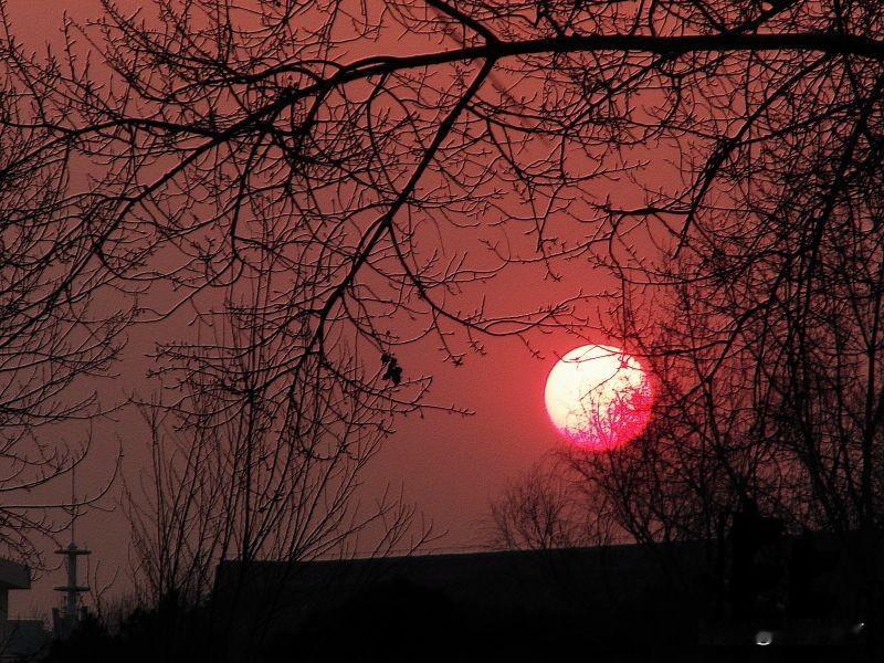 网络上有人谈起了当年的“票证”说：就连“民国”都没有发过票证。
其实，不仅仅民国