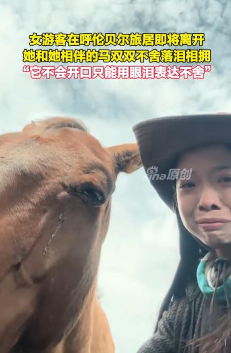 “太有灵性了！”内蒙古呼伦贝尔，女子哭着和一匹马告别，没想到，马也流泪了，她问马