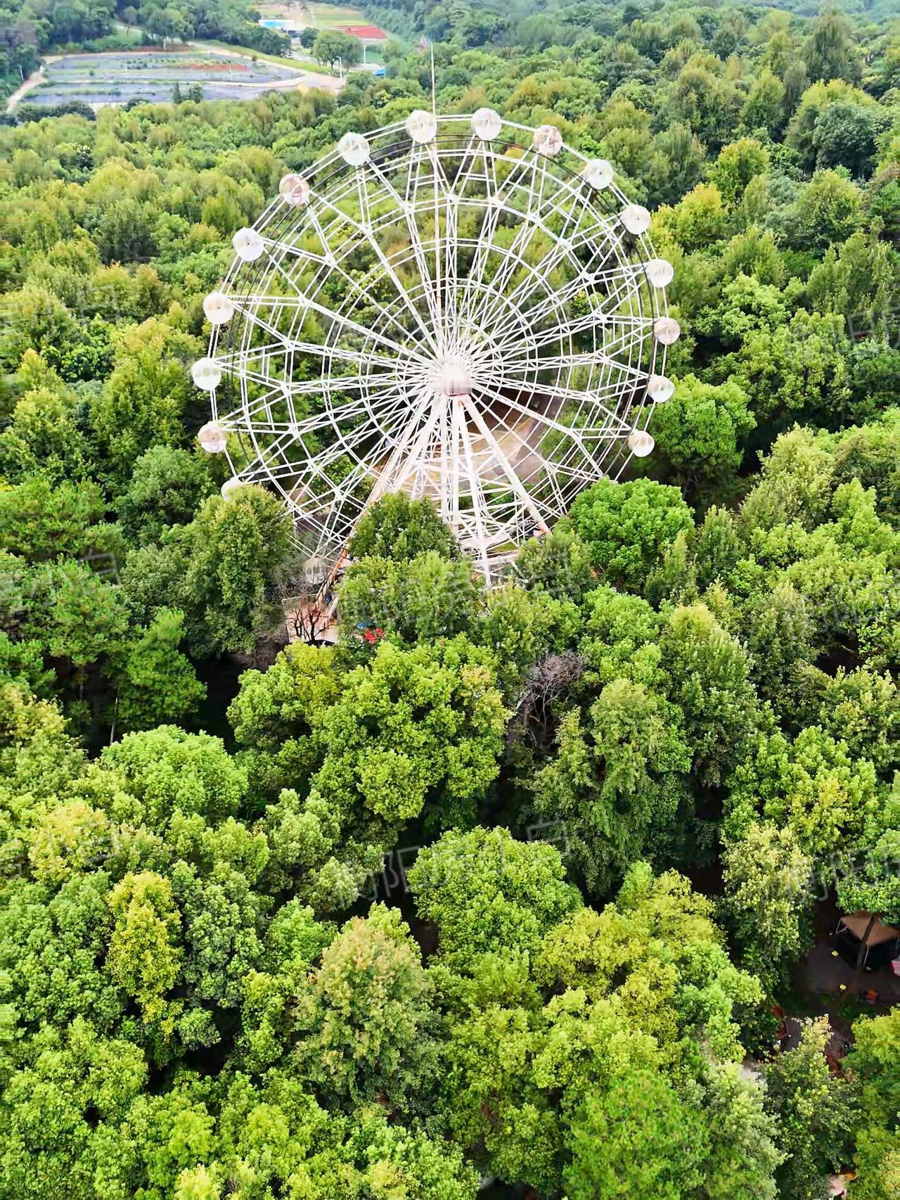 衡阳新增一座体育公园
 
看到没，衡阳这个公园也有一座摩天轮，大家知道这是哪里不