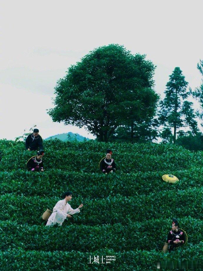 #张晚意第一次踏进苗寨#  上城士途中风物封面上线，这是张晚意第一次踏进苗寨，在
