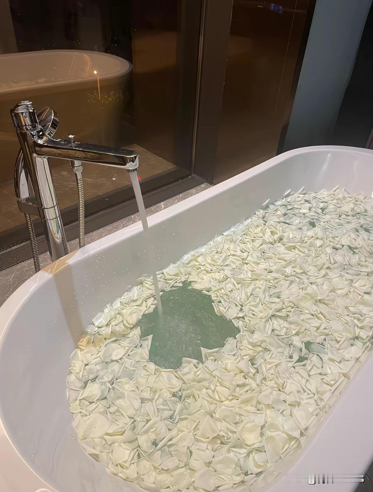 这下饺子呢[看]