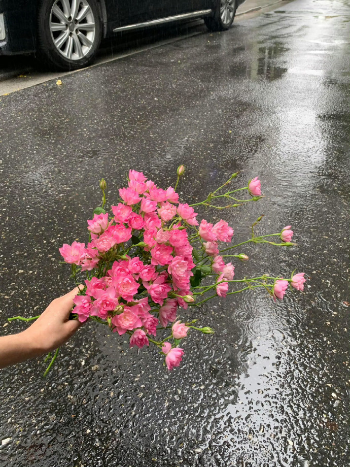 雨中逢花 ​​​