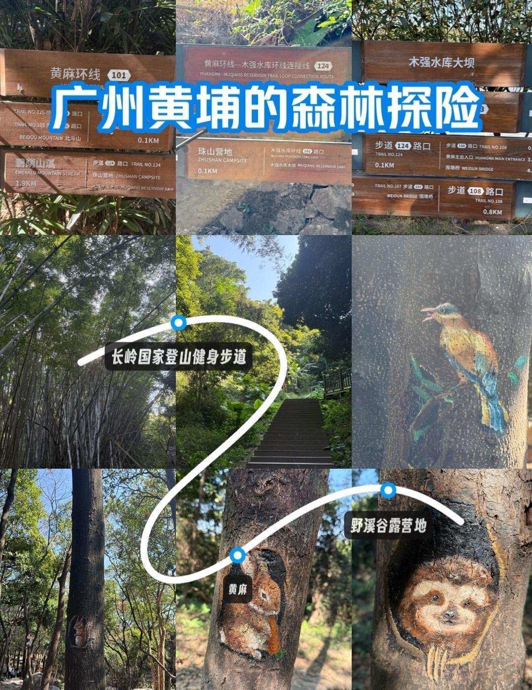森林漫步道
📍南京 
网红景点打卡 森林公园爬山记 双旦出片指南 森林爬山玩乐