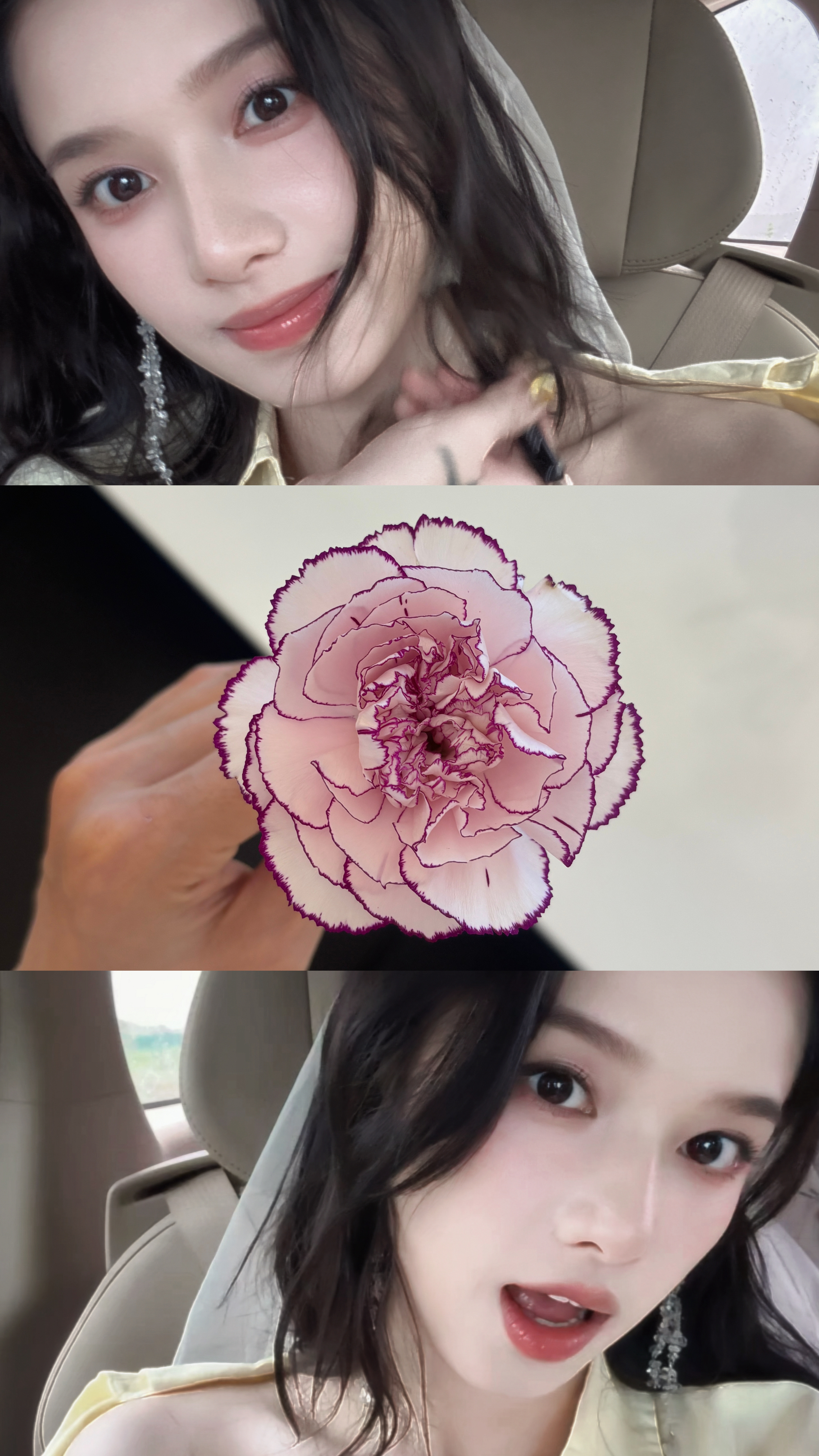 张婧仪  淡妆浓抹总相宜🌸 