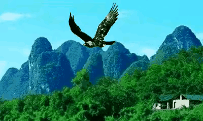 [[捂脸]中国女排🇨🇳的训练有一个致命教训[捂脸]]

    这个教训就是
