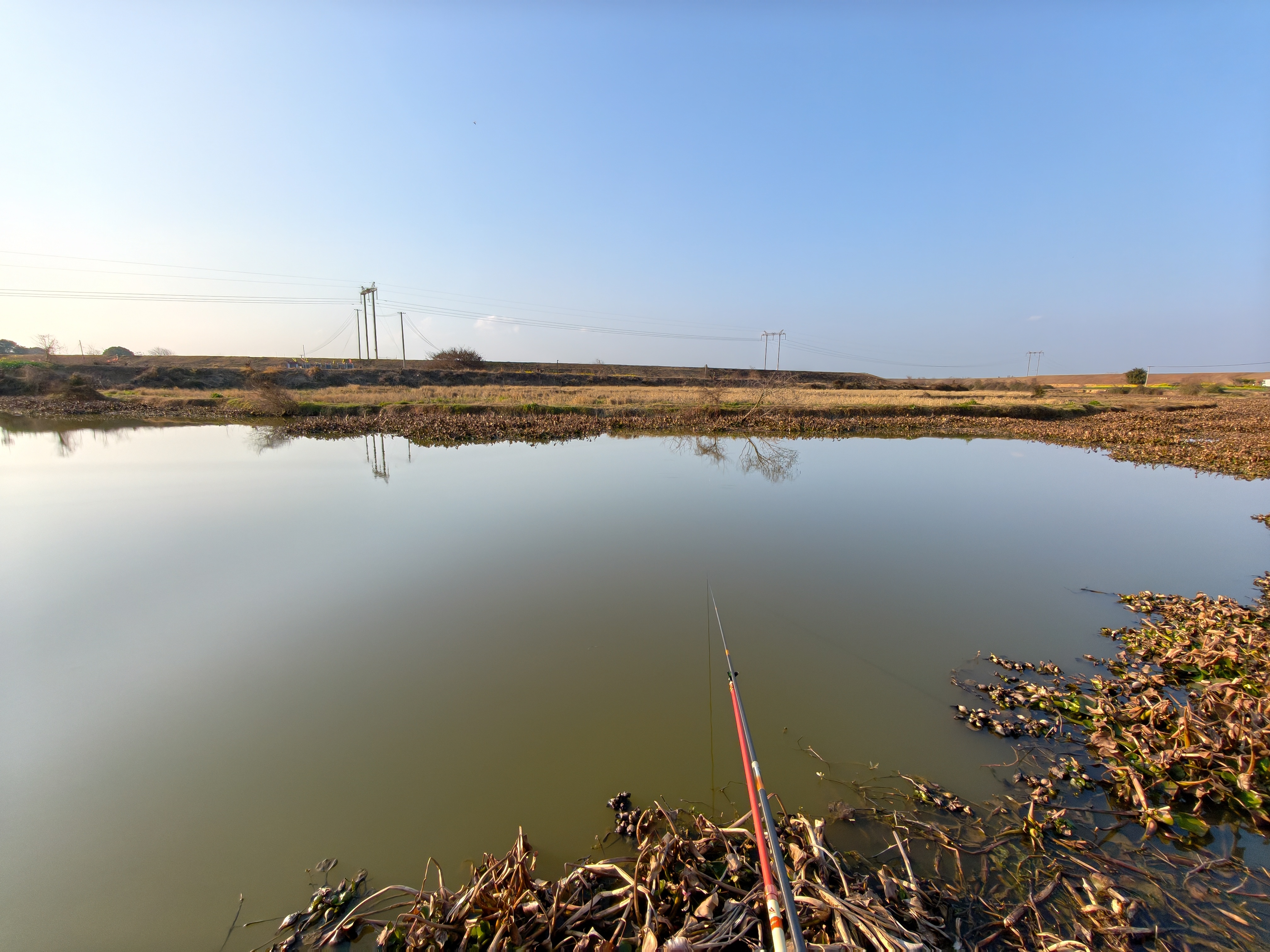 我记得应该是 3 年前吧，我来这条江里面钓鱼，真的是狂拉，就基本上下去就有口，下