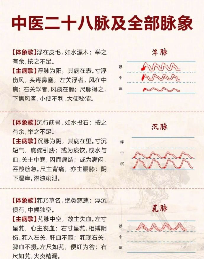 中医二十八脉及全部脉象。 ​​​