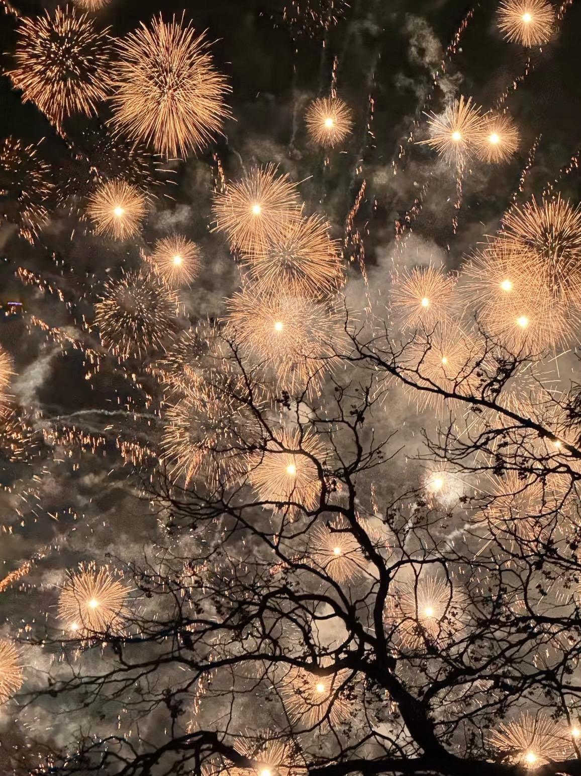 🎆本年度神级烟花live图已出现！！！！
看看大家拍的烟花！！！
烟花拍照 烟