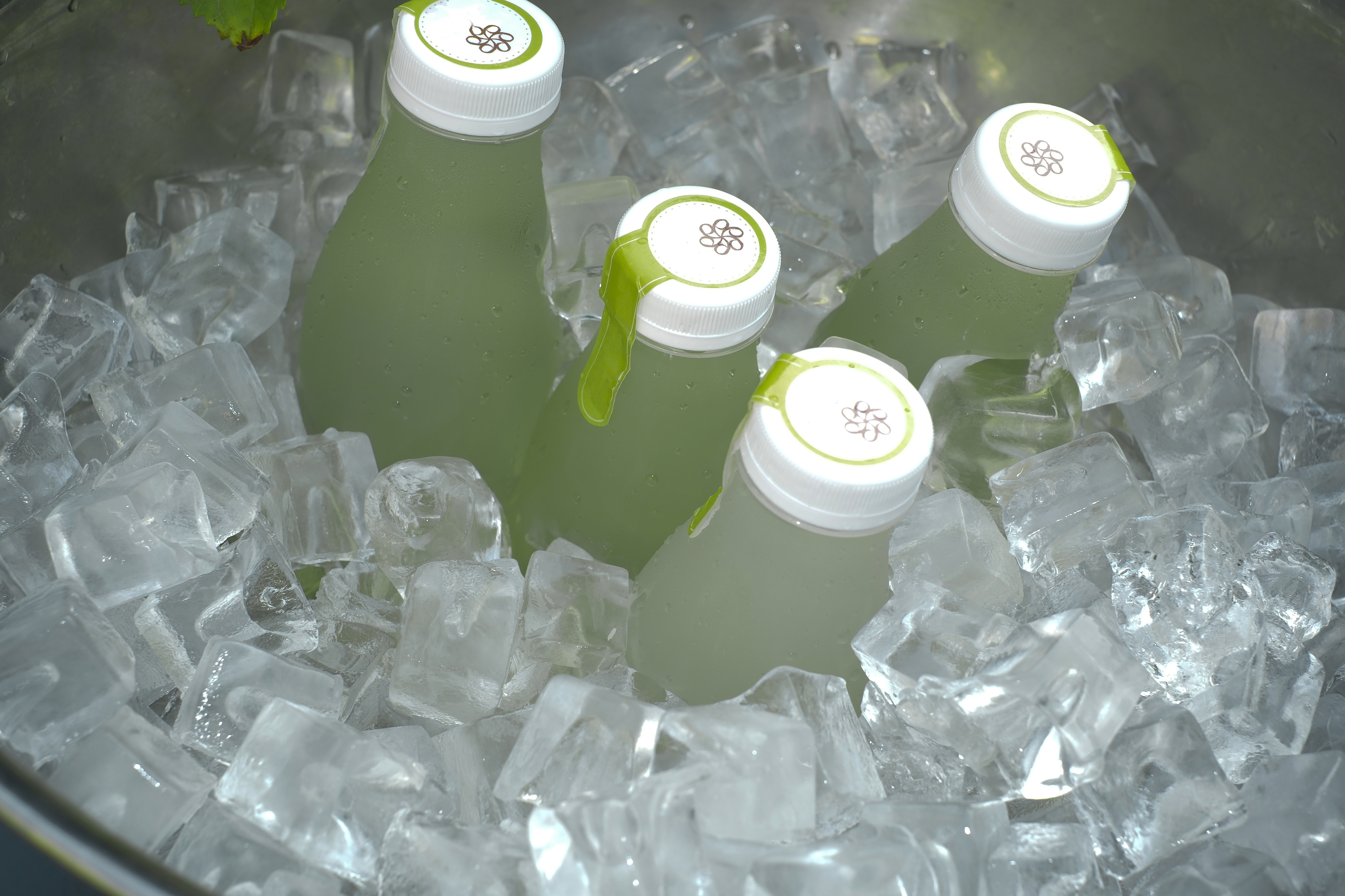 findgreencr.宝藏摄影博主推荐计划