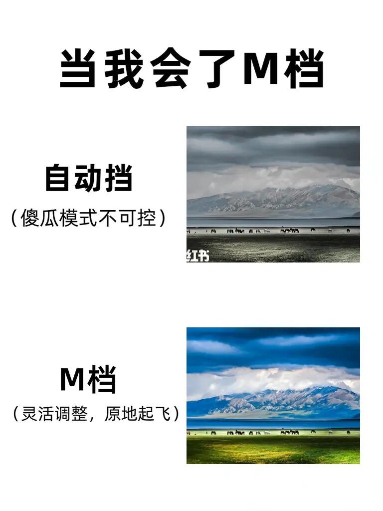 相机M档保姆级教程‼️超级详细