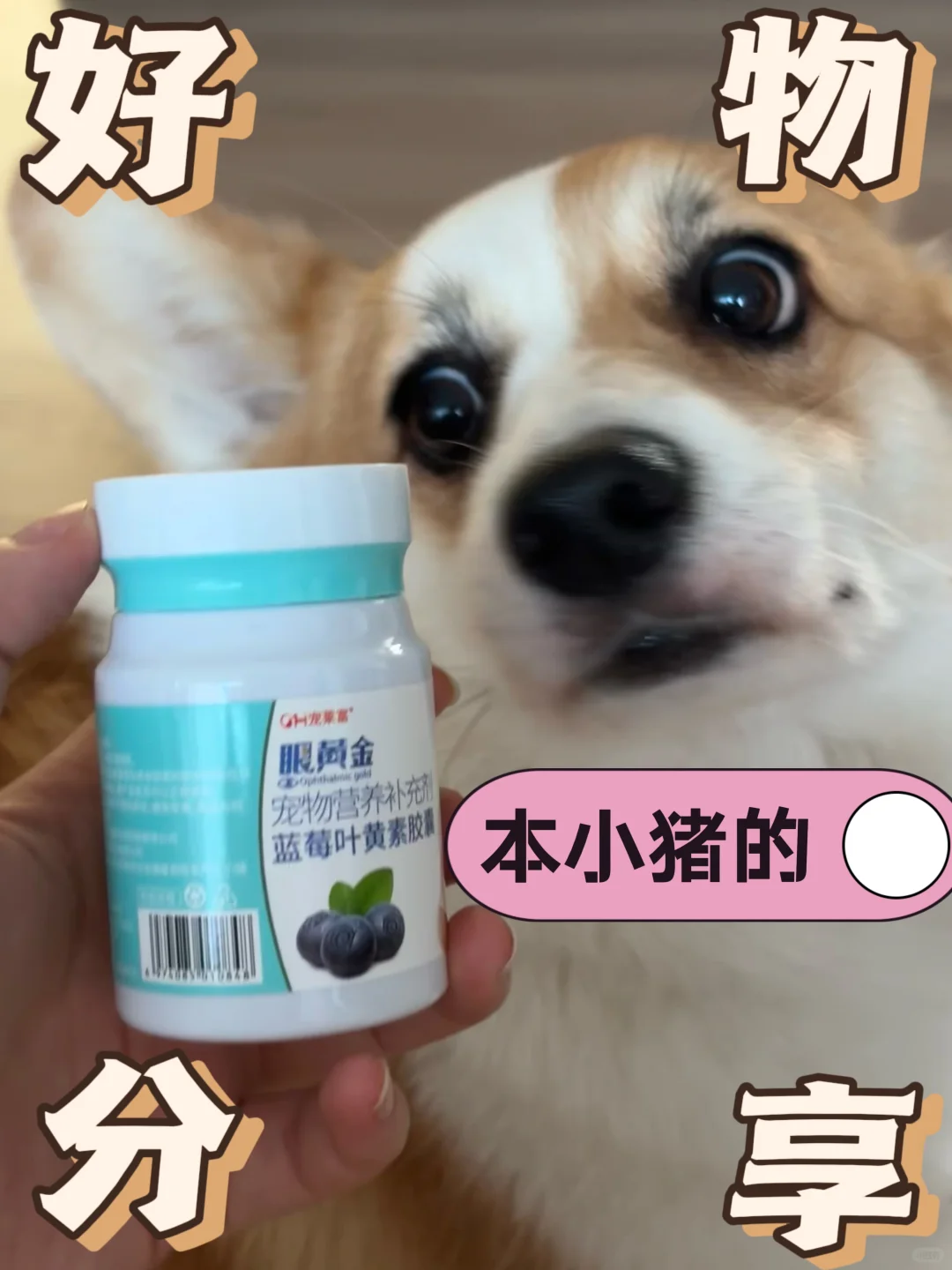 本小猪的爱用物分享～