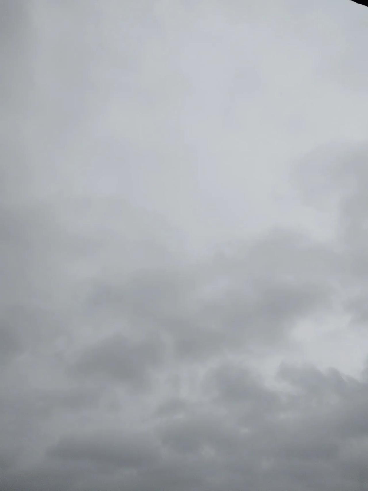 二月二龙抬头，今天二月初三，就来了一场暴风雨，一声惊雷炸裂天空。看来谚语还是有可