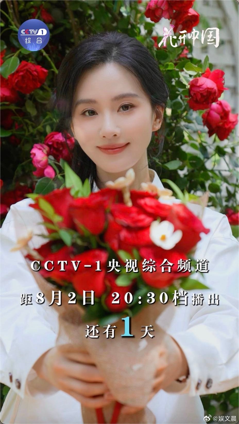 花开中国刘诗诗花式官宣 央视镜头下的刘诗诗，每一帧都像从画里走出来的！眉眼含光，
