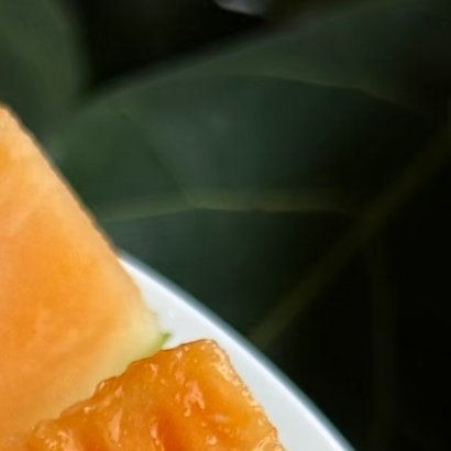 0000哈密瓜的种植方法种植哈密瓜优先选疏松沙质土壤，光照必须充足。春季地温稳定