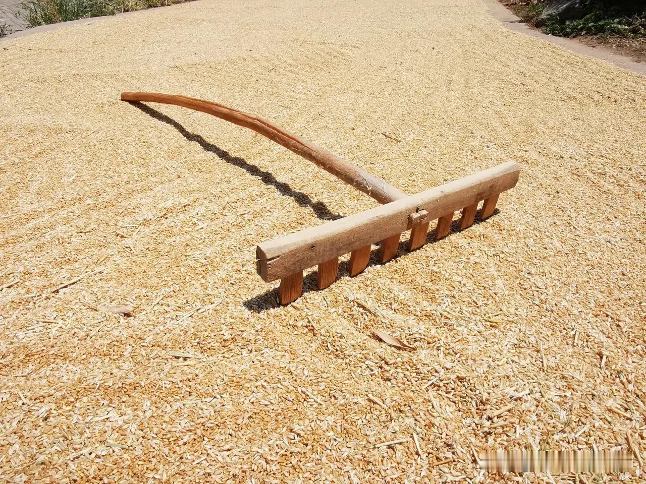 食品安全“溯源”是个伪命题！

安全农产品是种出来的、是生产加工出来的，绝不是溯