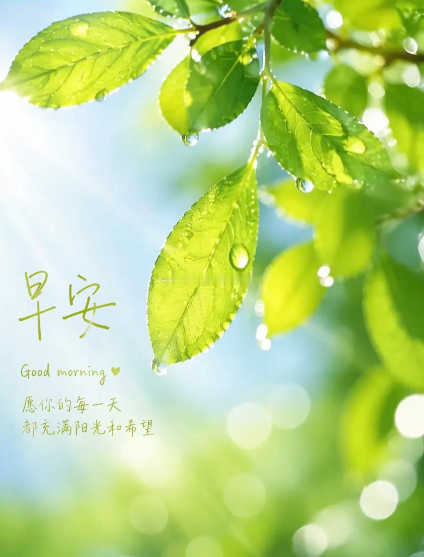 周一 新晨新气象，机遇藏于行情之中。秉持风控本心，果断执行计划，我们并肩蓄力，收