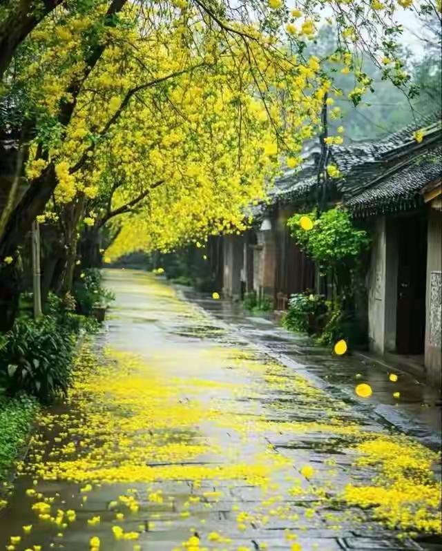 能让你脱胎换骨的，只有那场撕心裂肺的痛

人到中年，仿佛行走在细雨横斜的小巷里，