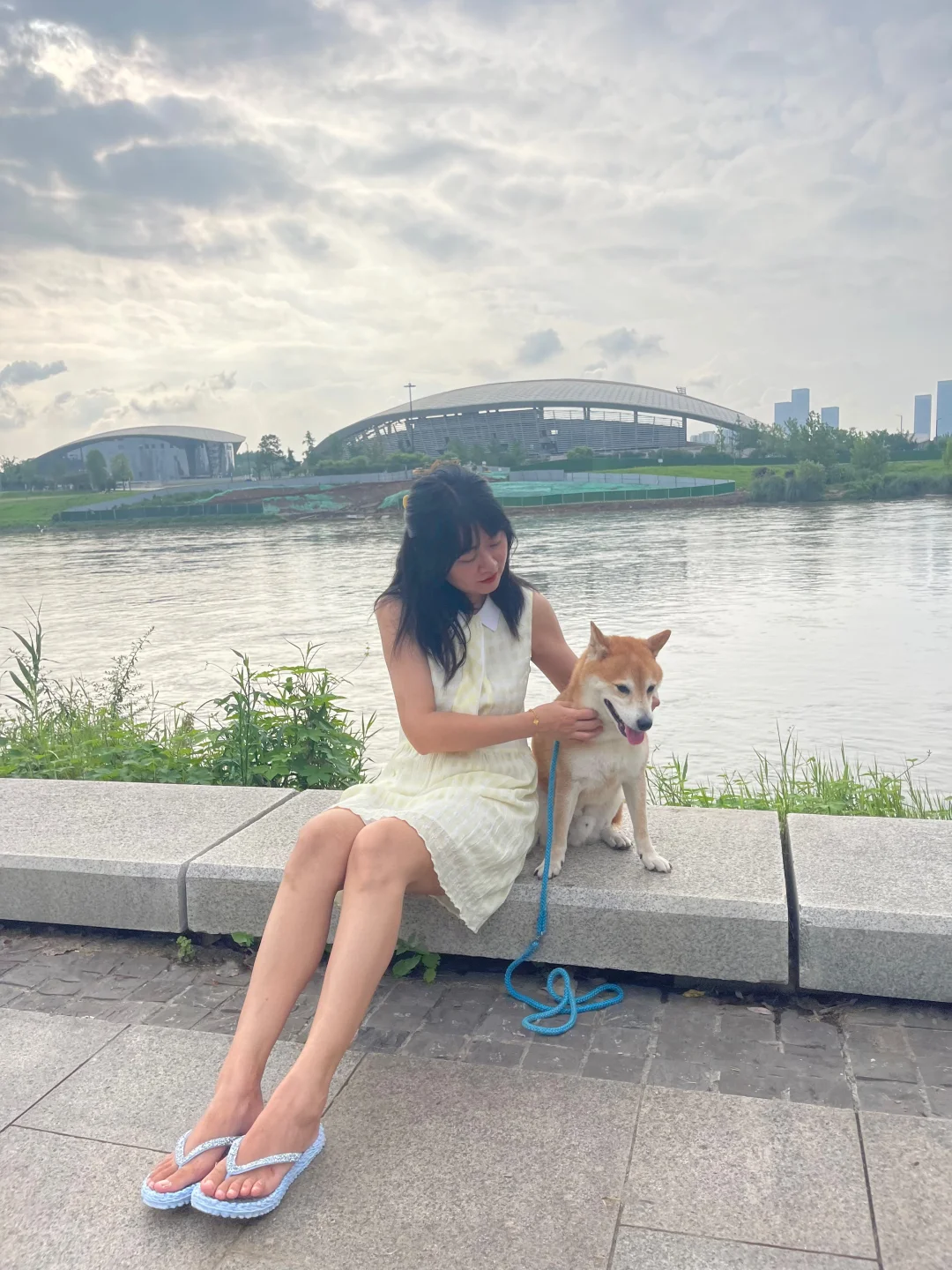 夏日江边的微风与小狗。
